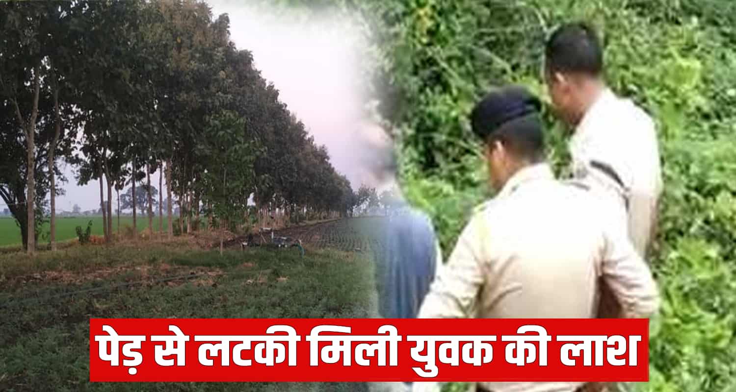 Gagret una 22 years man tree himachal pradesh