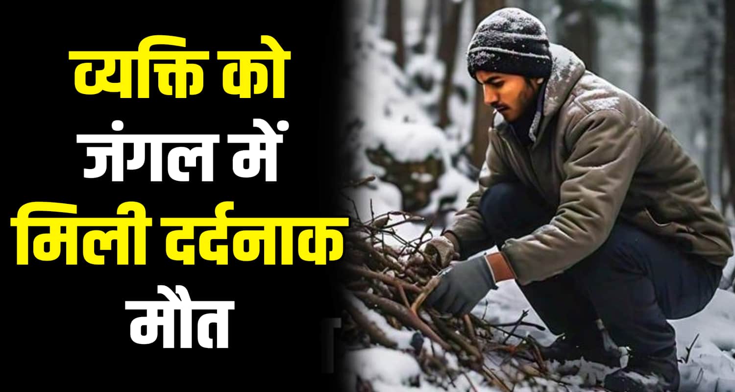 Bharmour chamba himachal pradesh snow fall woods