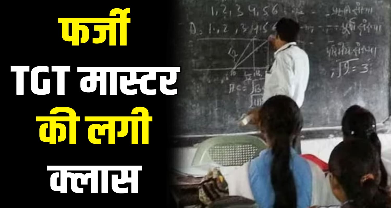 Tgt fake job certificate himachal pradesh shimla nerva