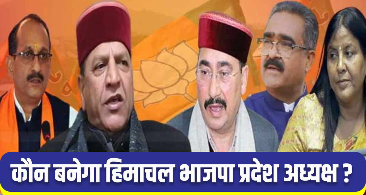 Himachal bjp completed election of 9 district presidents lobbying start state president post