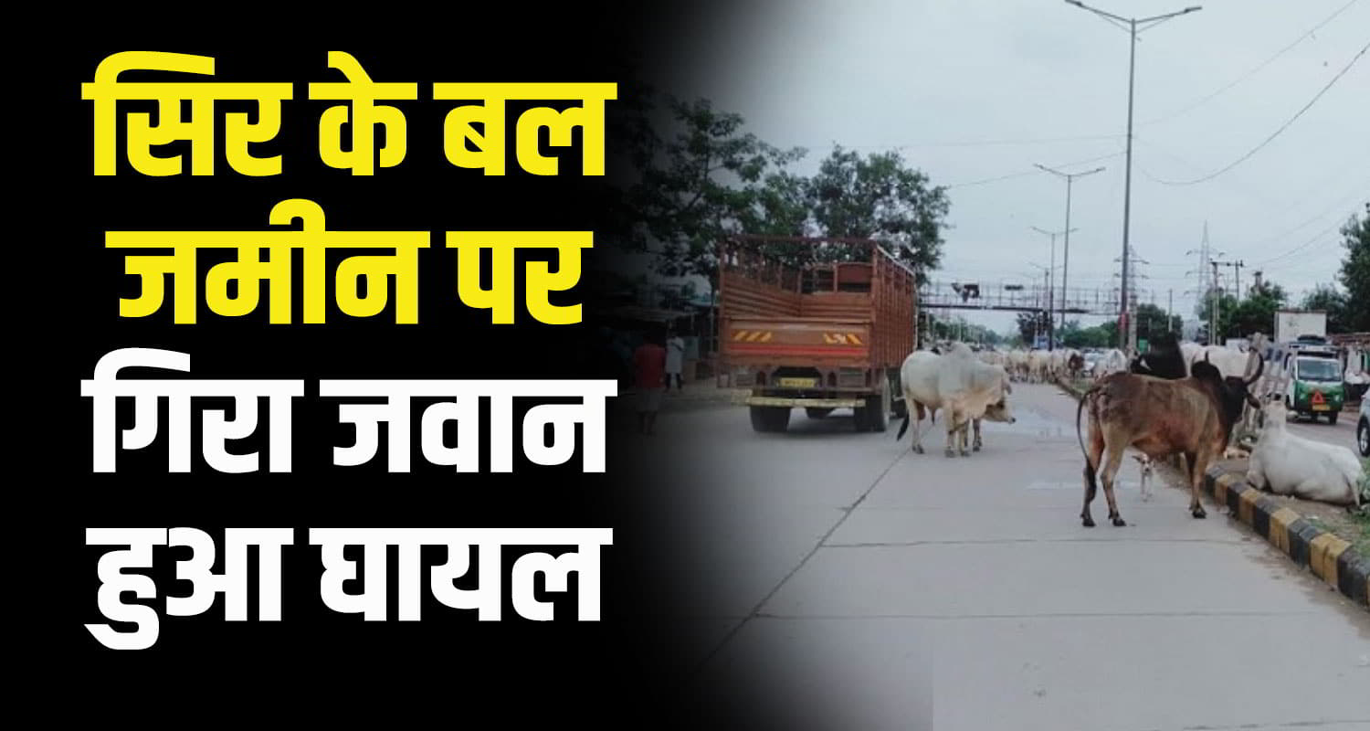 An army soldier stray bull himachal sirmaur district