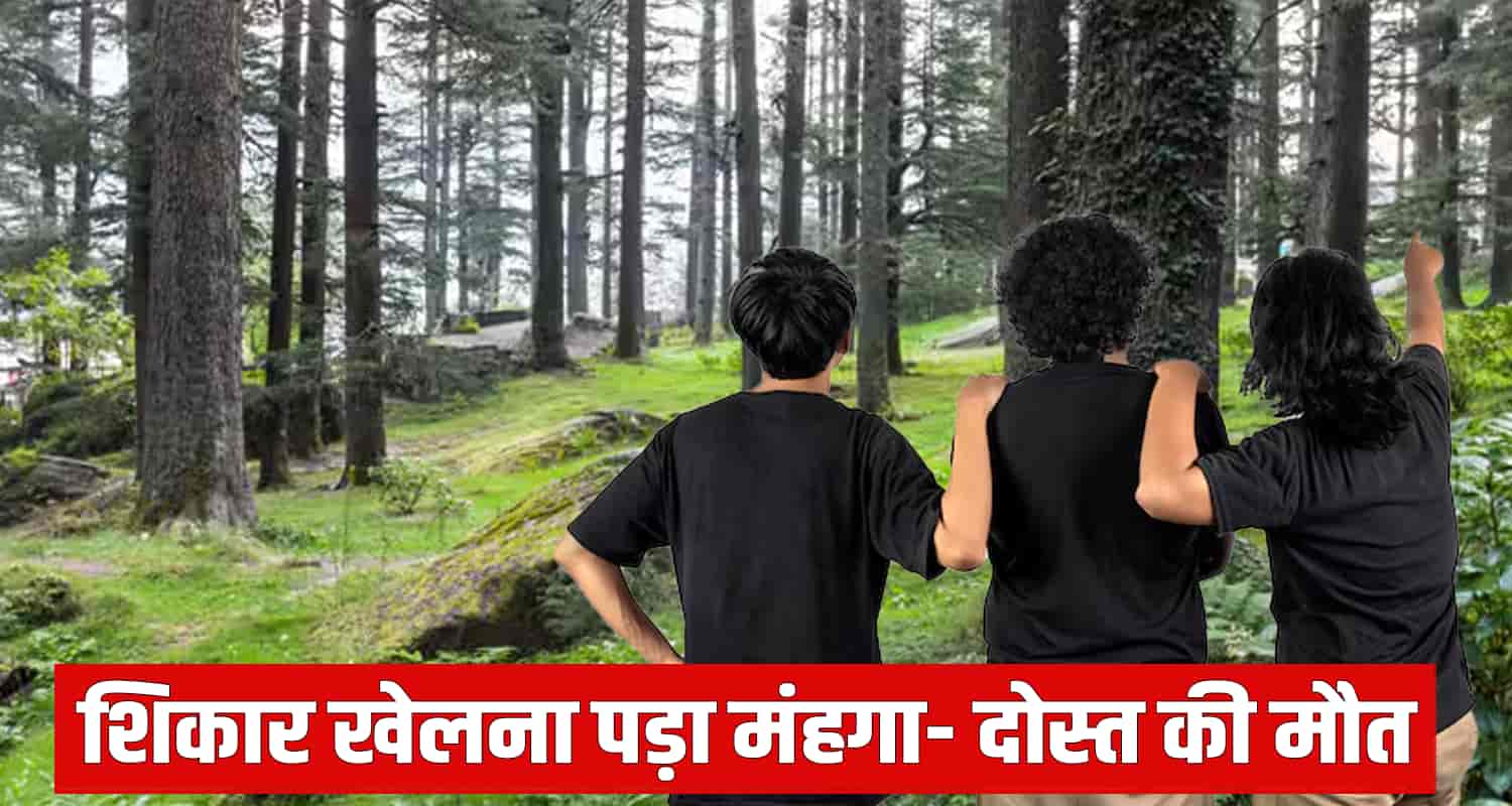 Himachal news mandi siraj jungle 3 friends update new year