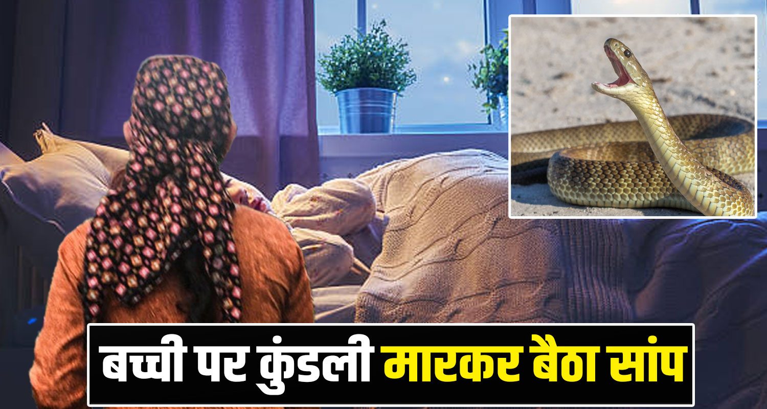 Kangra Snake News