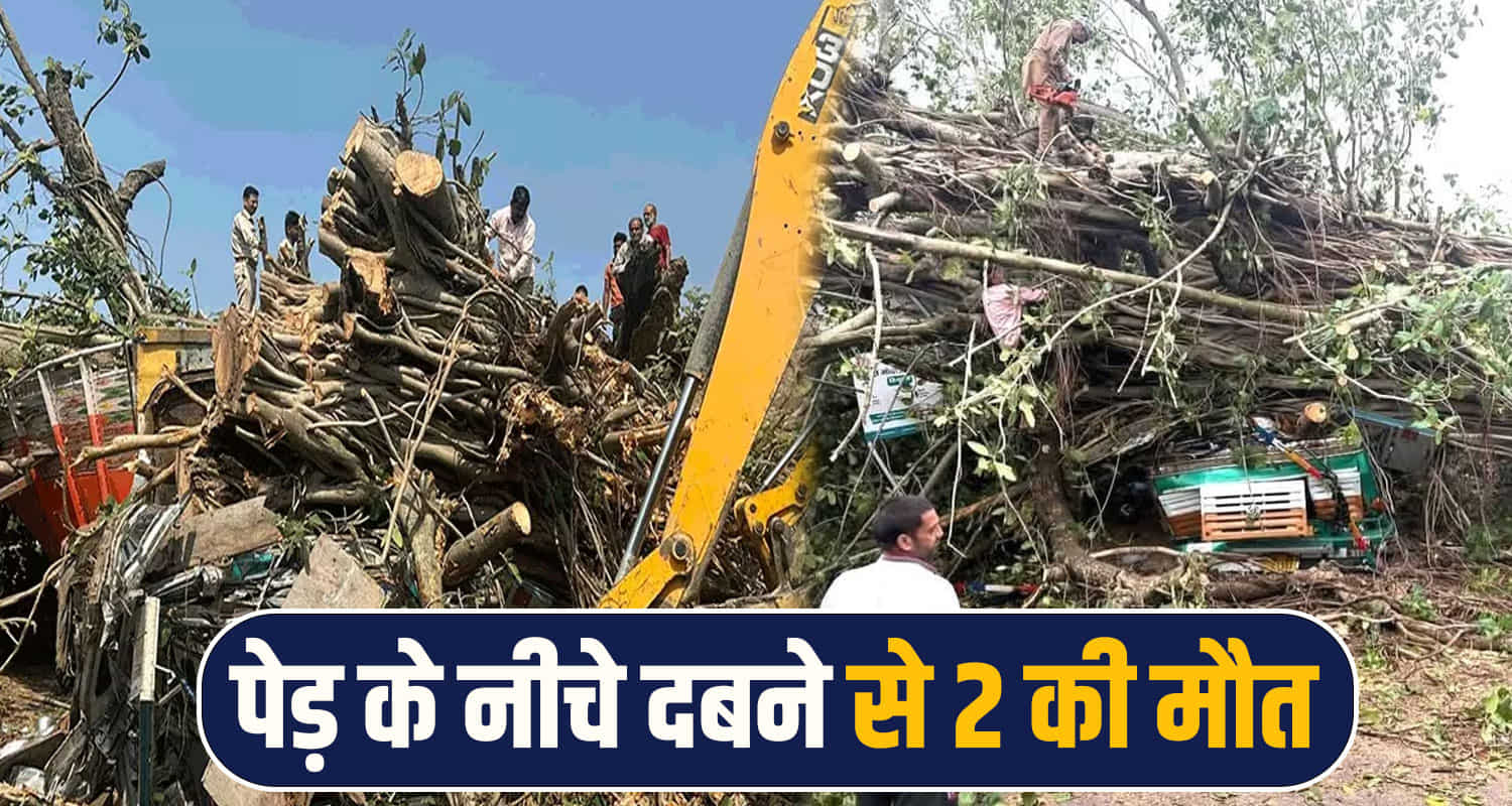 HIMACHAL NEWS KANGRA 