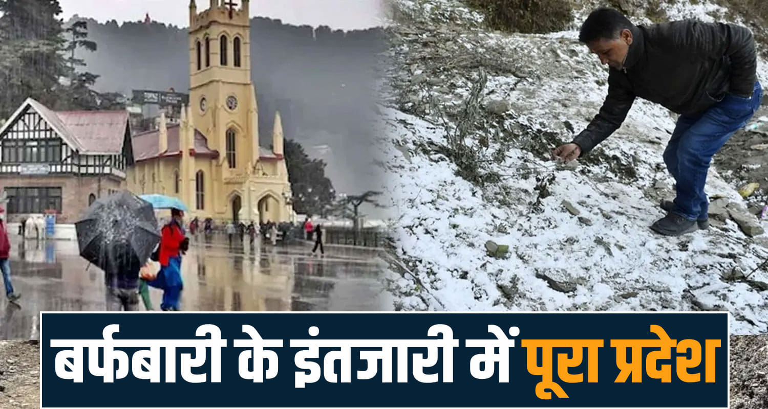 himachal news