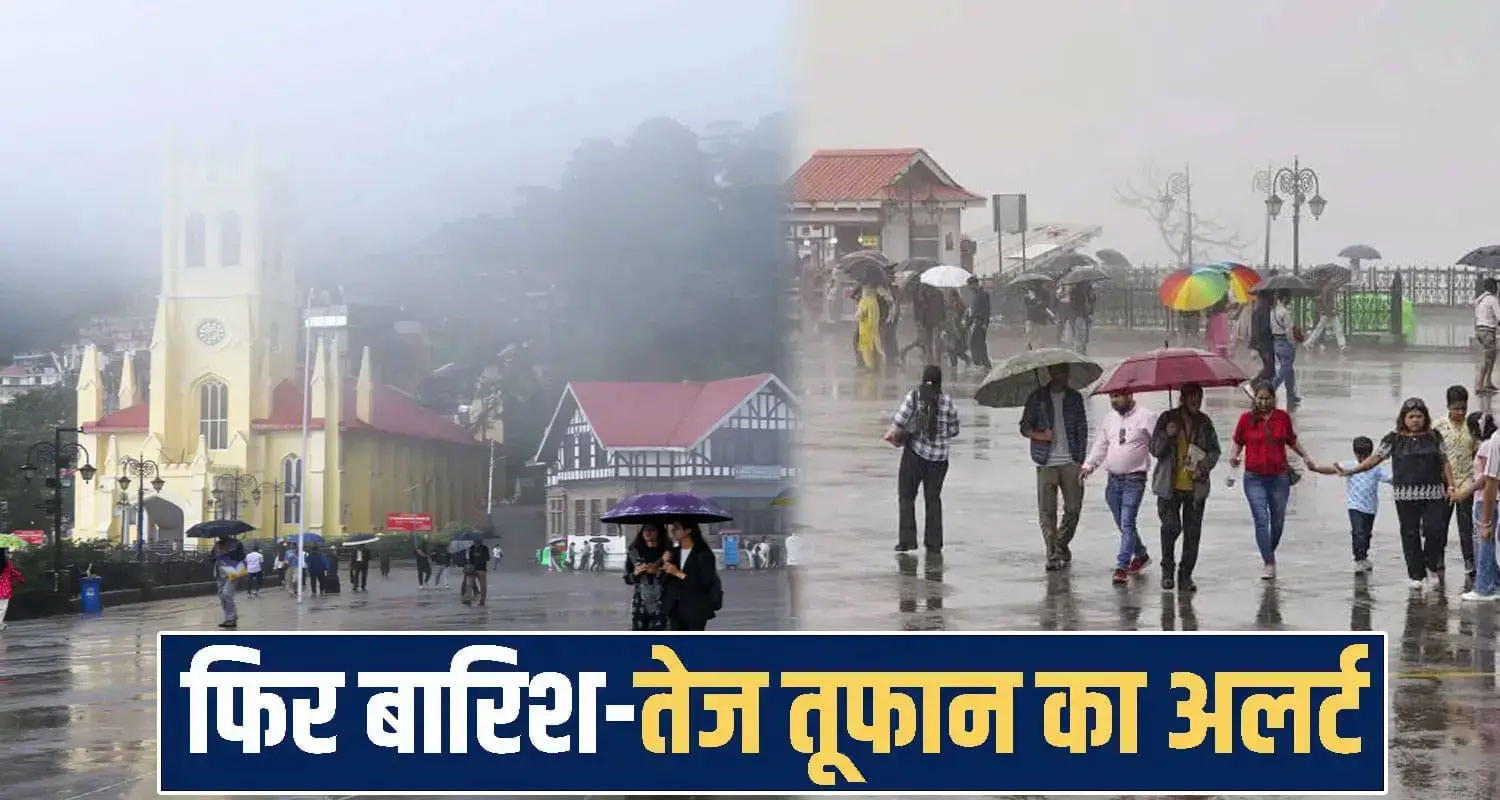 shimla weather