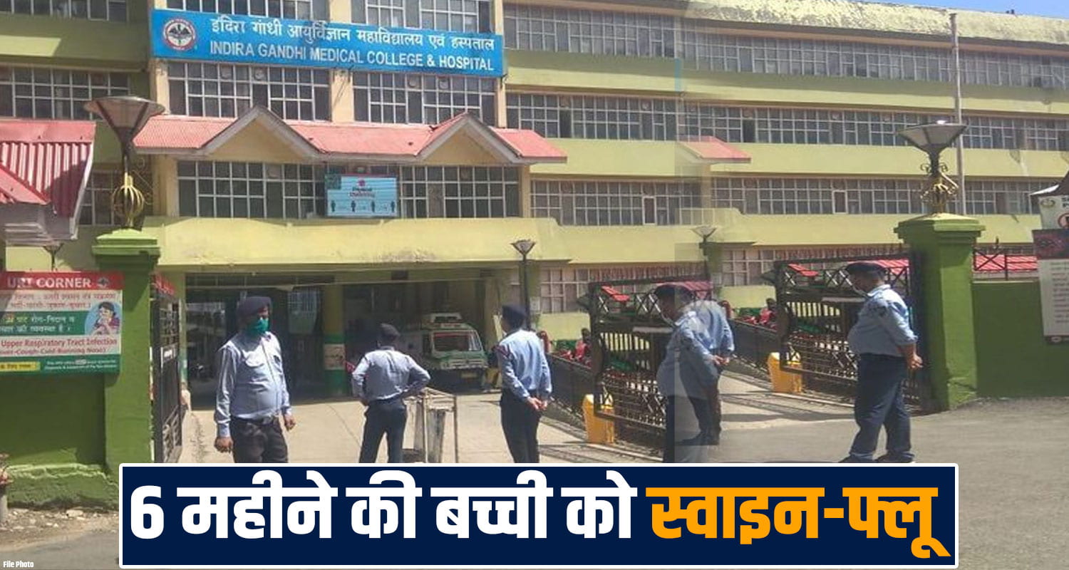 swine flu h1n1 case igmc shimla symptoms prevention viral infection himachal