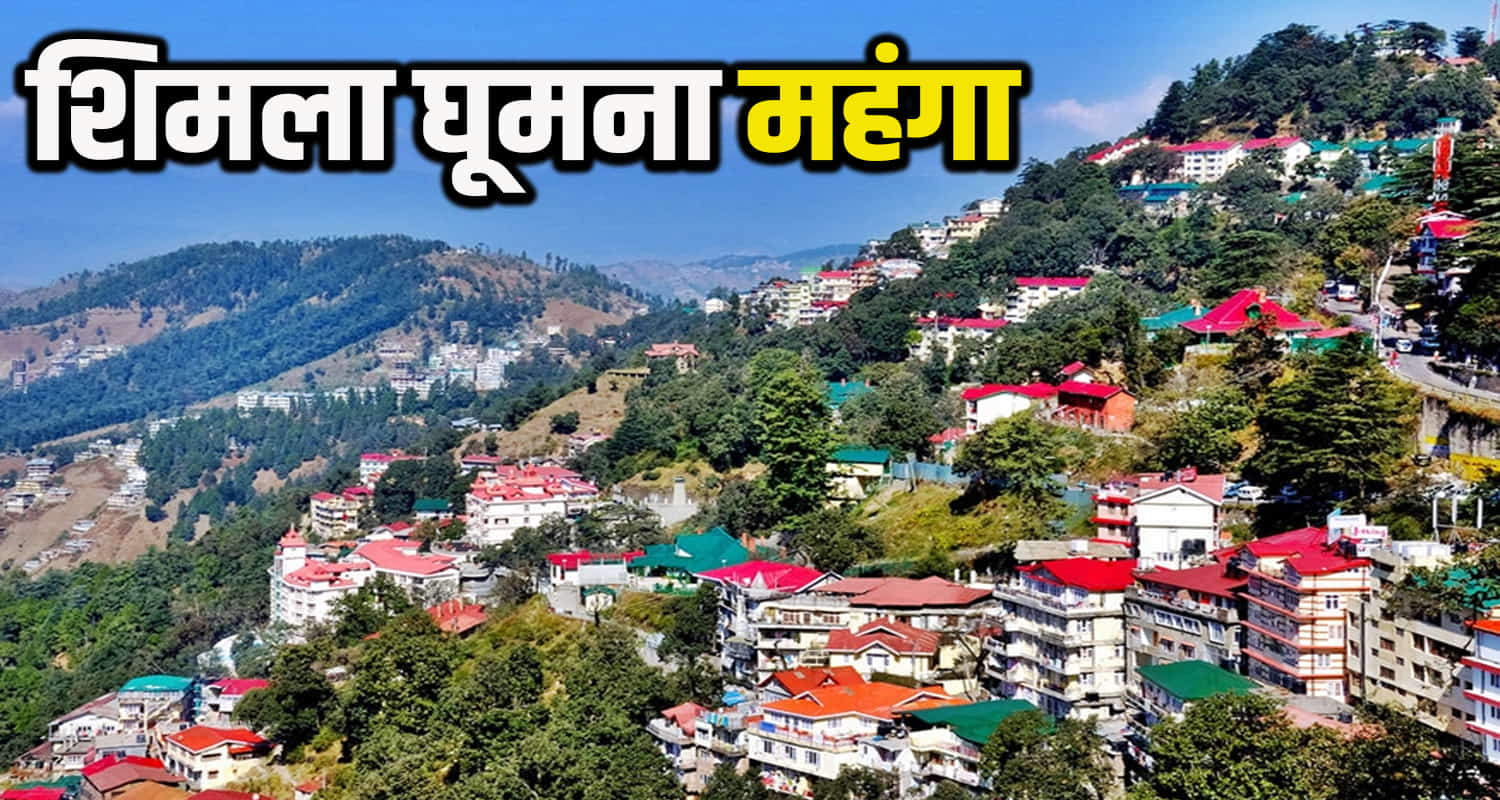 himachal news