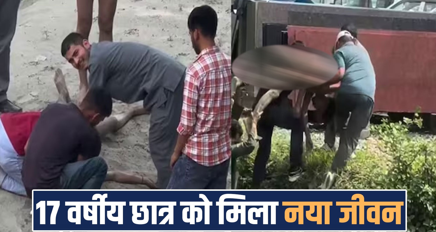 MANDI NEWS