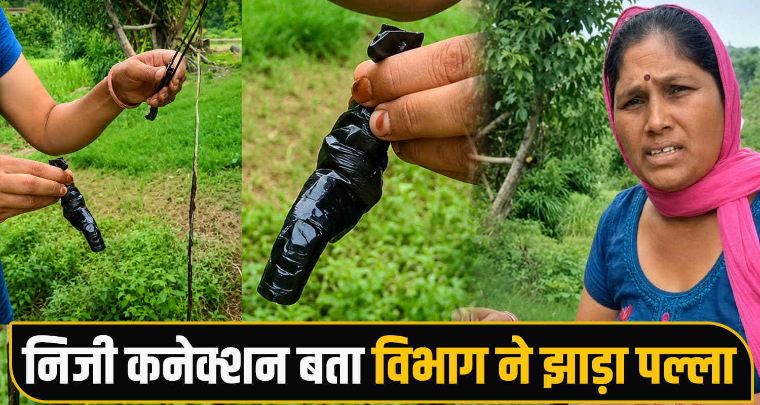 snake frog found drinking water pipeline himachal una jal shakti department negligence