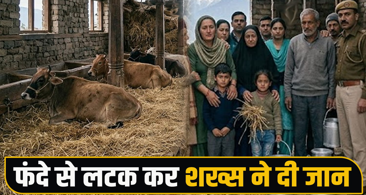 Himachal Pradesh shimla news