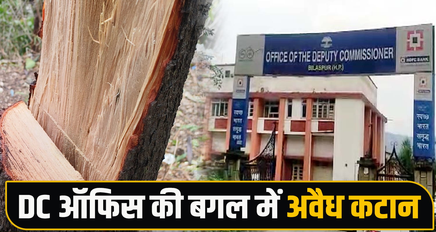 Sandalwood Smuggling