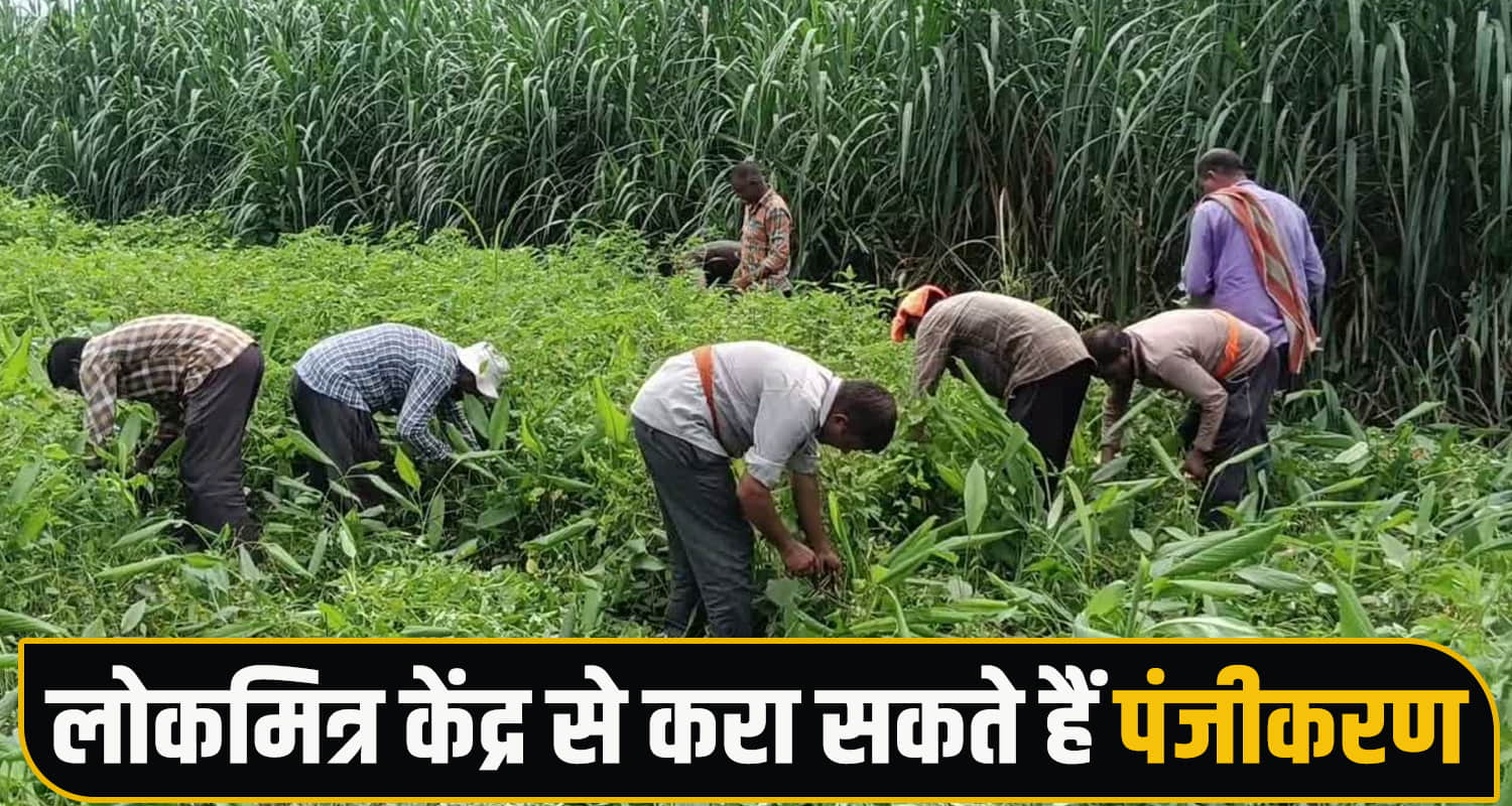 Farmer ID Agriculture Horticulture
