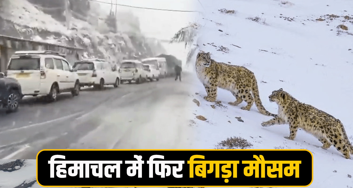 Himachal Weather