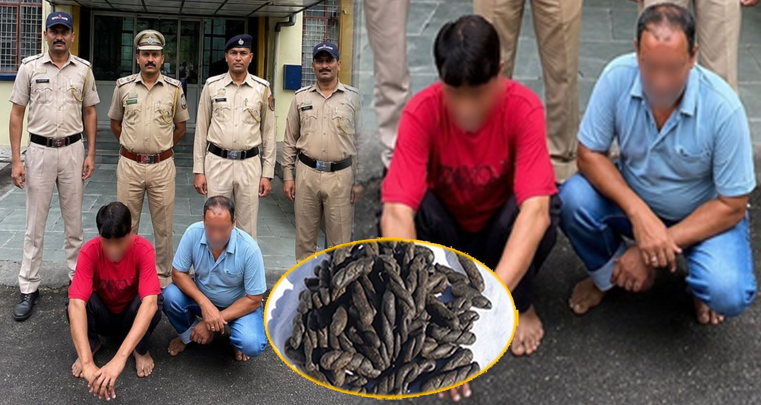 charas smuggler two men volvo bus mandi himachal police
