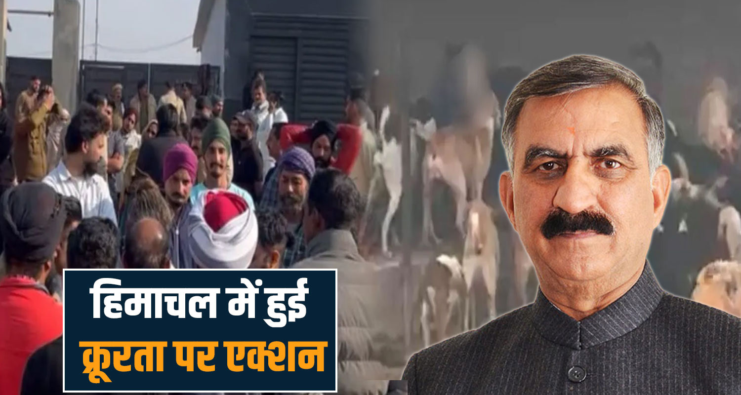 STRAY DOGS HIMACHAL CM SUKHU