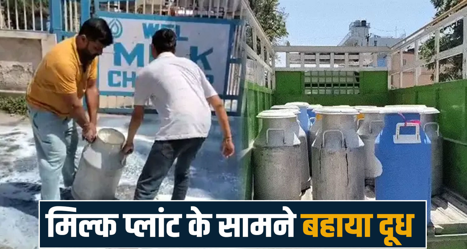 MILKFED MILK PURCHASE DELAY FARMER WASTES 500 LITRES SUKHU GOVERNMENT