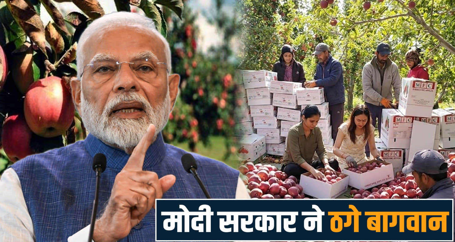 apple farmers himachal