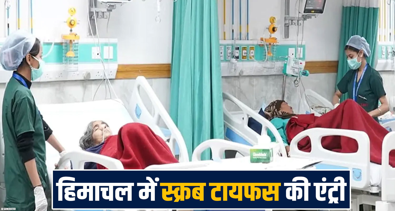 himachal-scrub-typhus-cases-rise-in-kullu-sainj-health-department-alert
