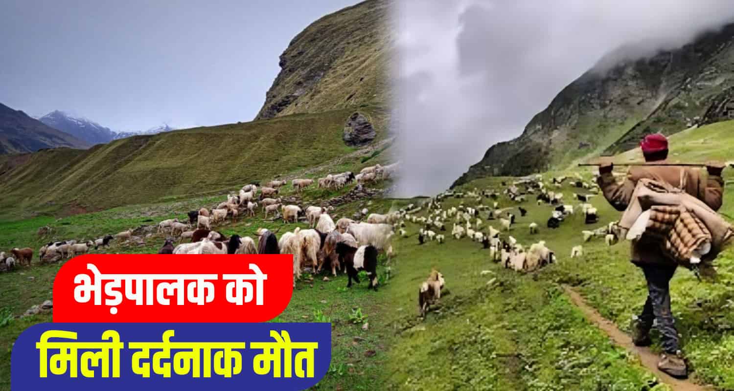 himachal news