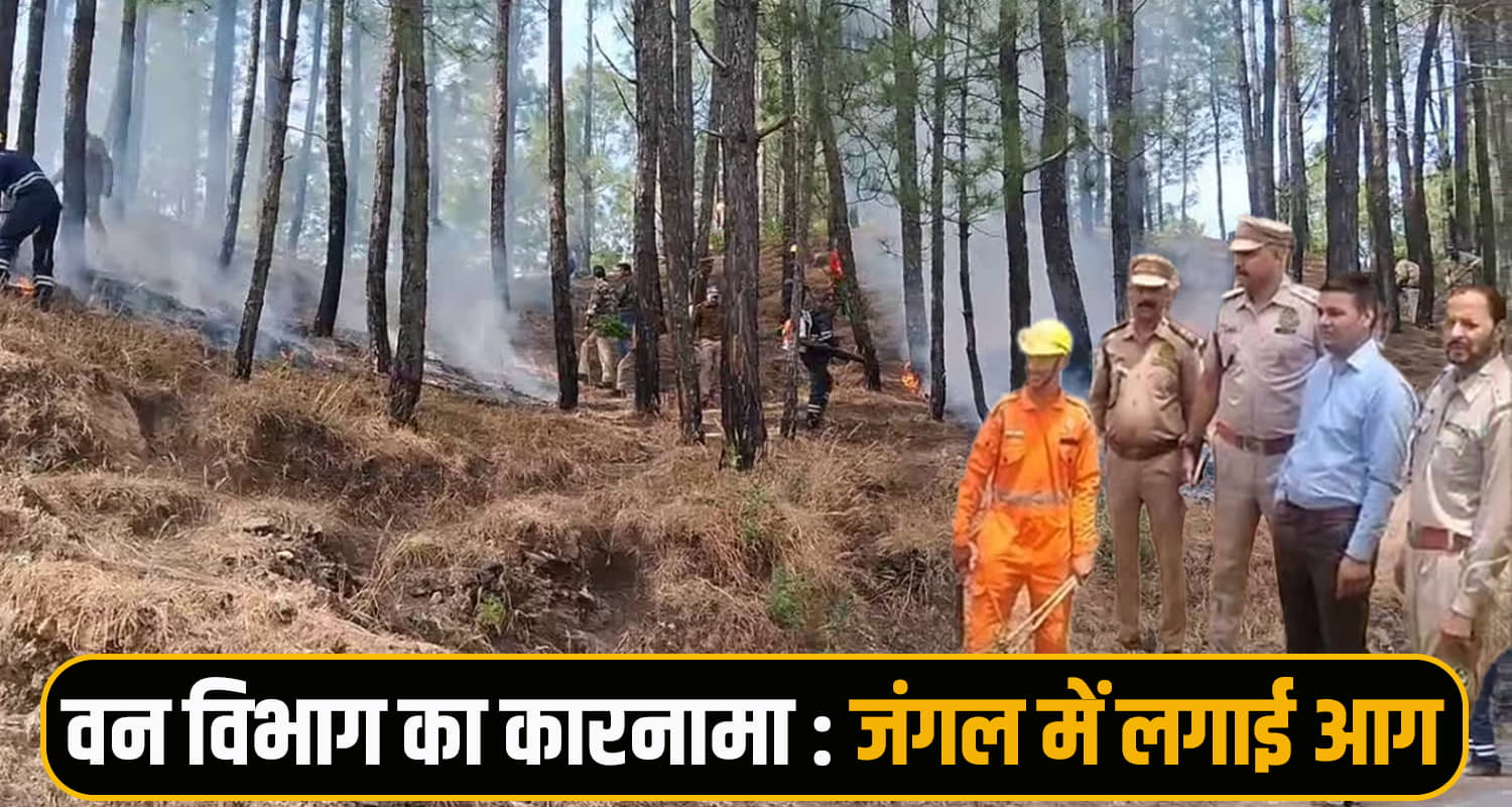 bilaspur news Forest Drill 
