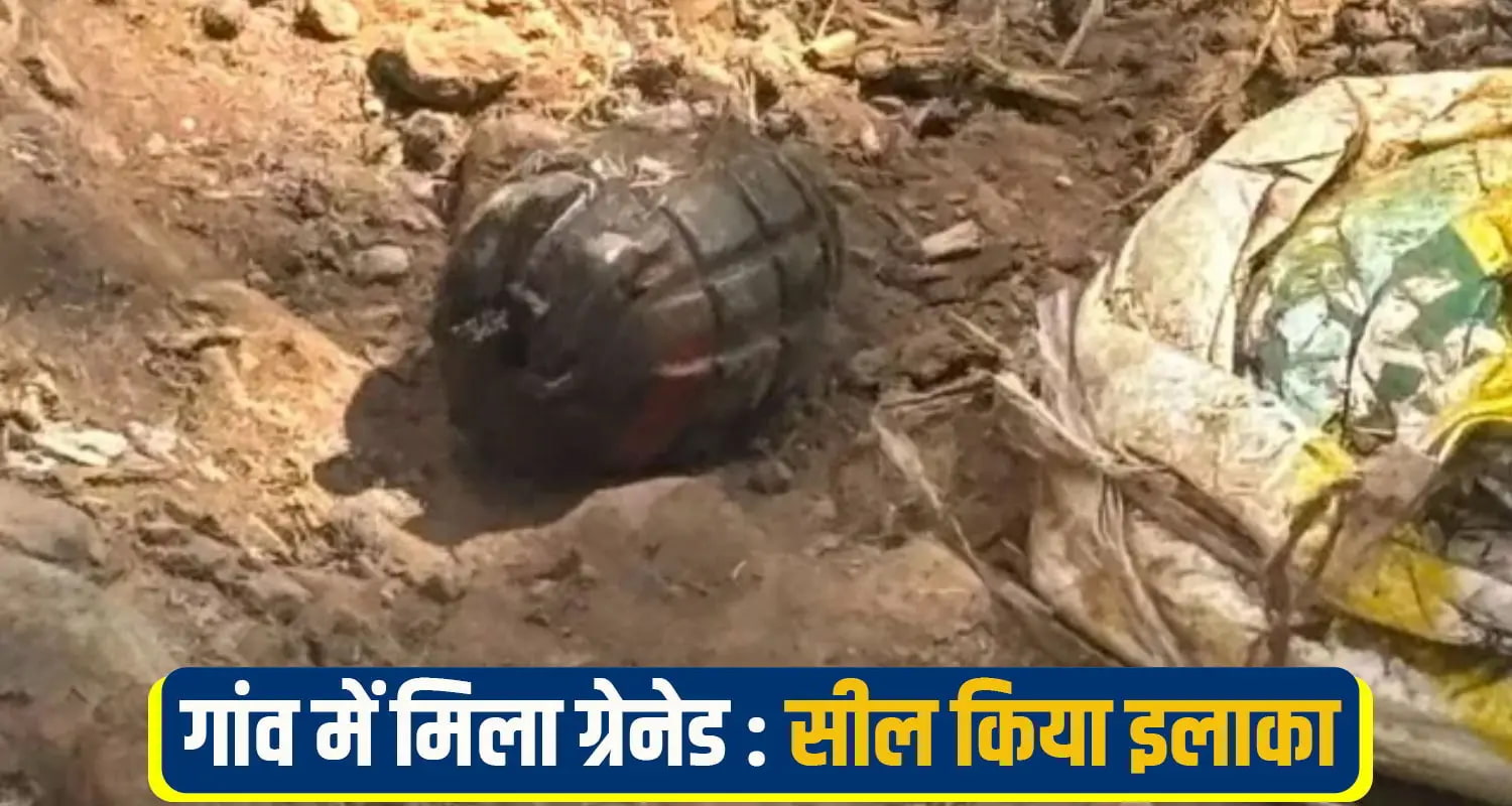 nalagarh dayoli village object found house squad himachal police