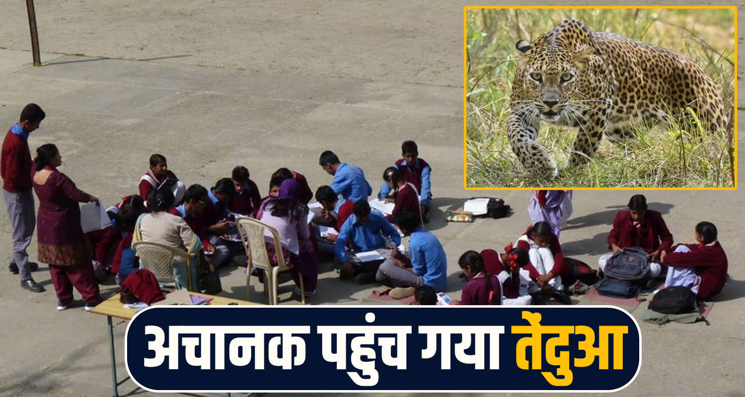 leopard school incident