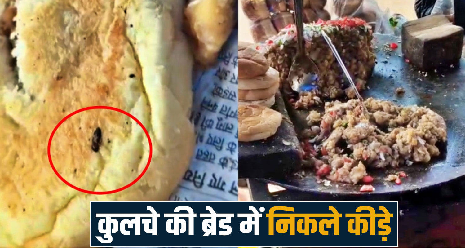 chole kulcha bread worms viral video nalagarh solan himachal food safety