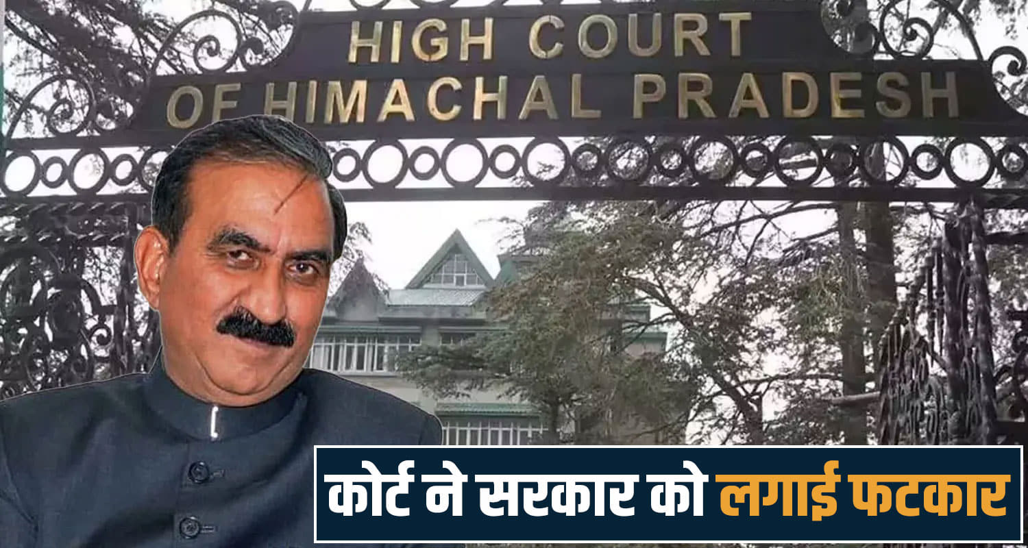 himachal high court,