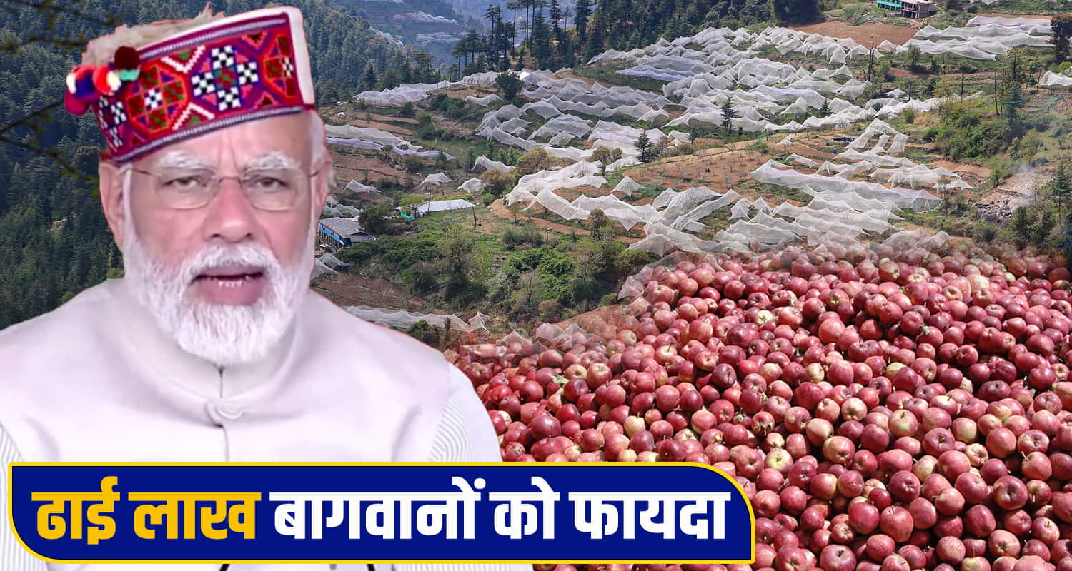 Himachal Apple Farmers