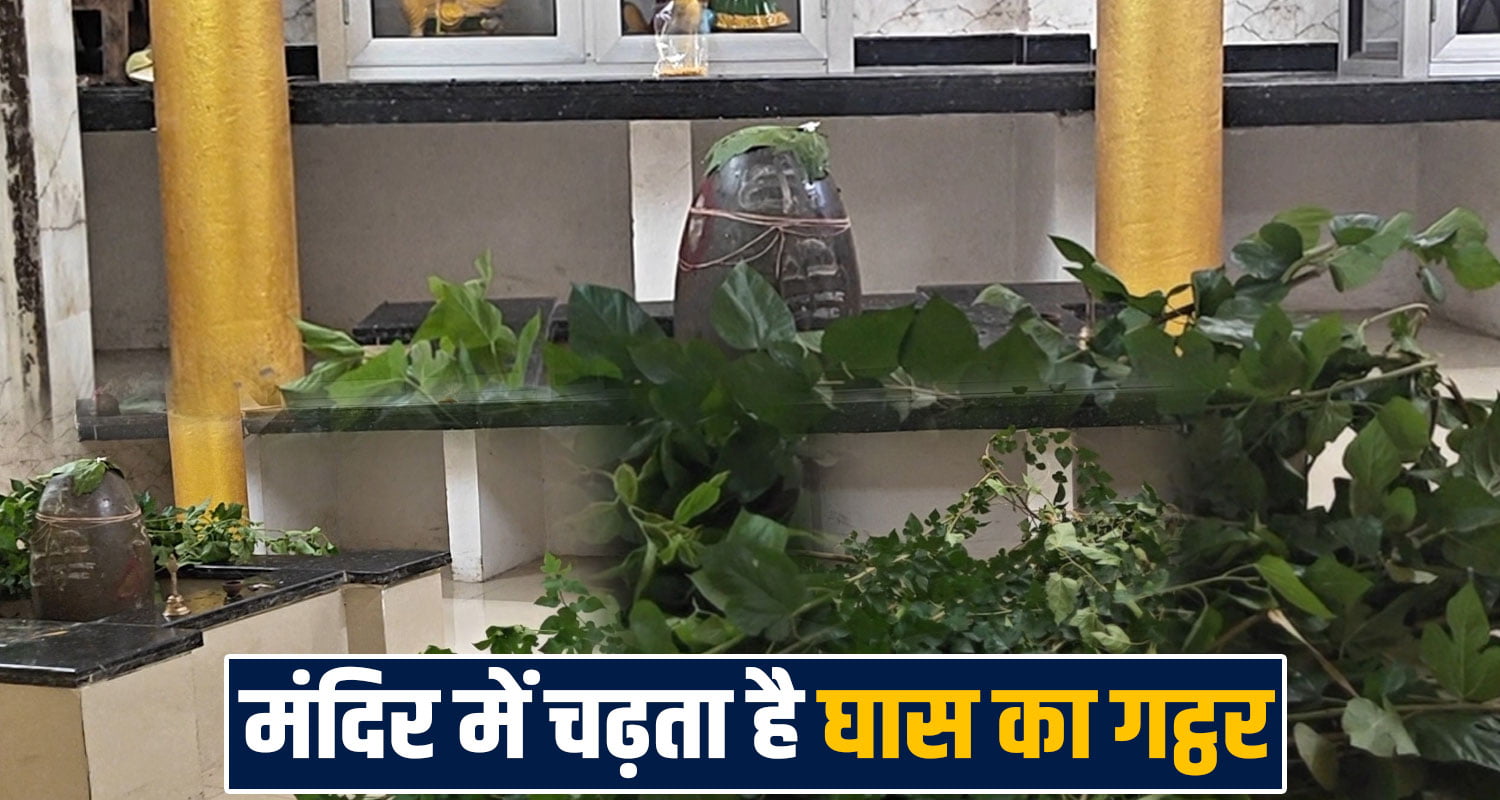 NANDESHWAR MAHADEV TEMPLE BILASPUR GRASS OFFERINGS DEVOTEES DEVBHOOMI HIMACHAL