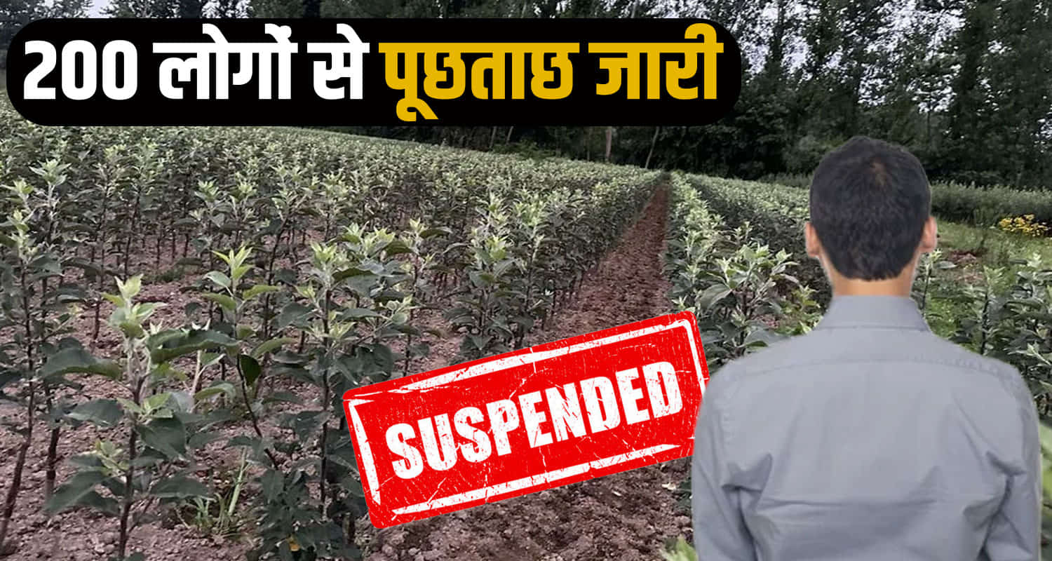 bdo manish kumar suspended,