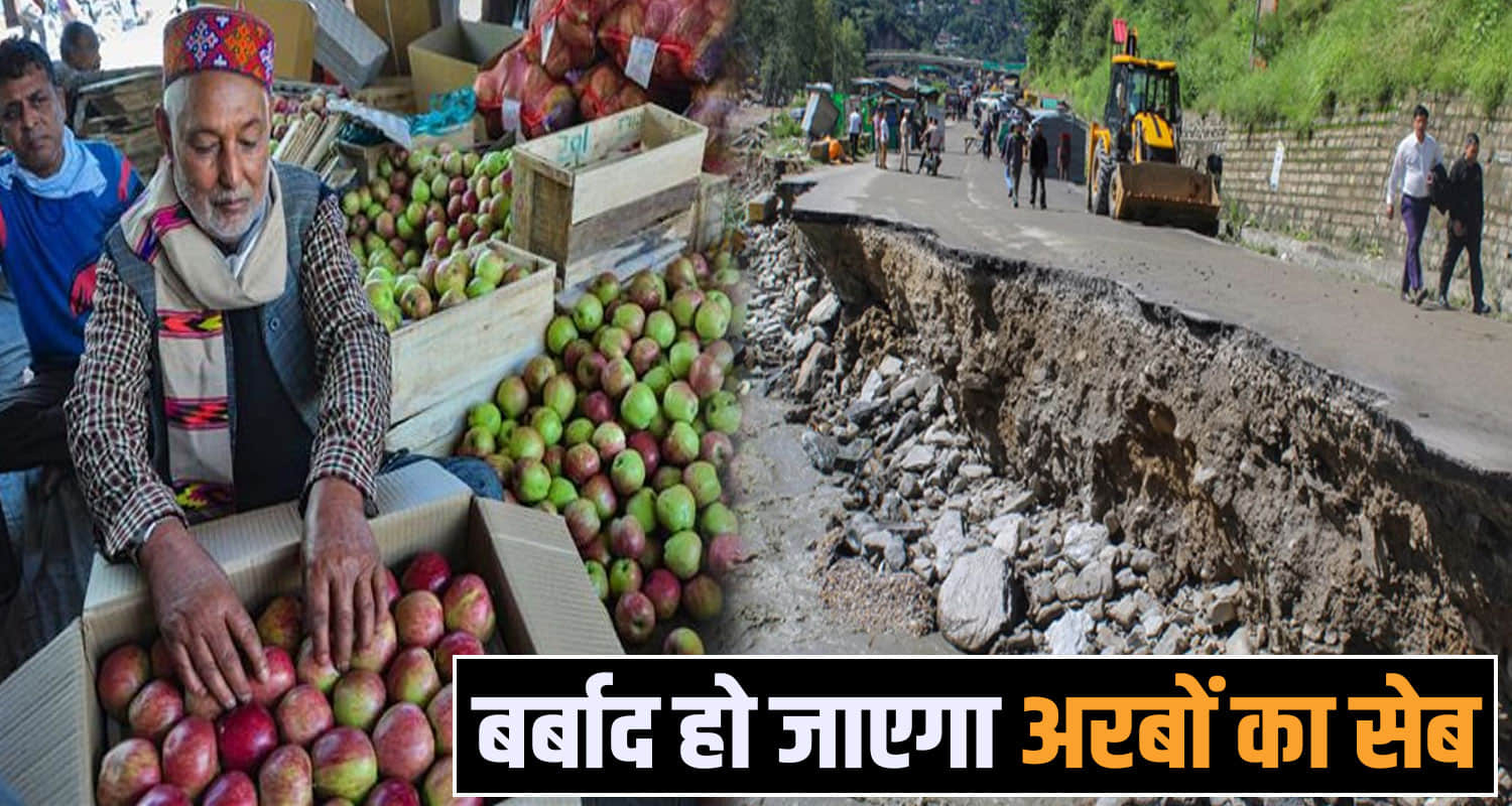 Kullu Apple Crisis