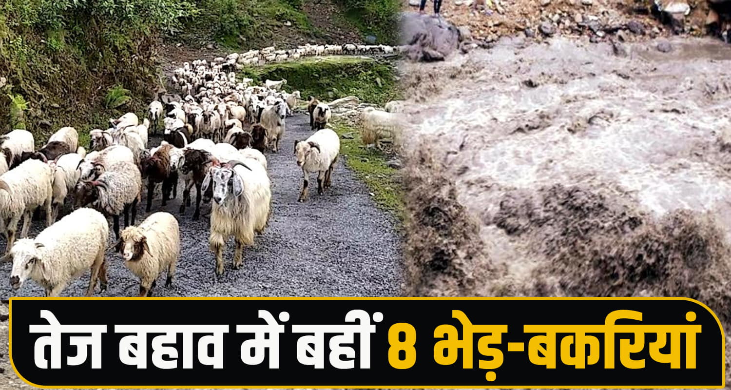 Chamba Rain Disaster