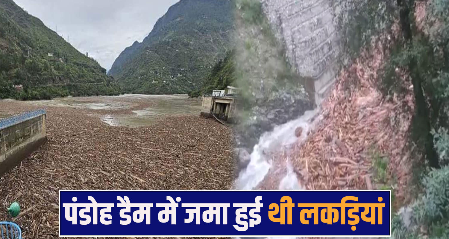 pandoh dam illegal logging