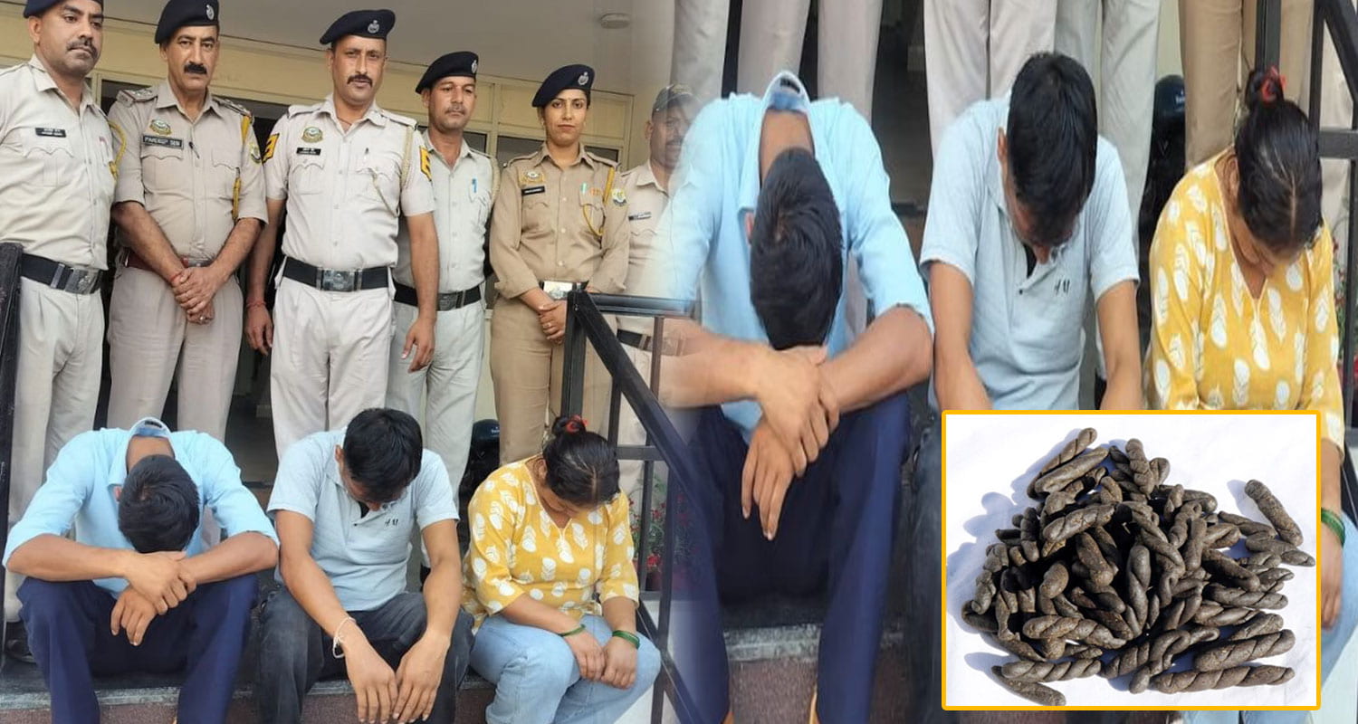 Charas smuggler two men women bilaspur police himachal drug free