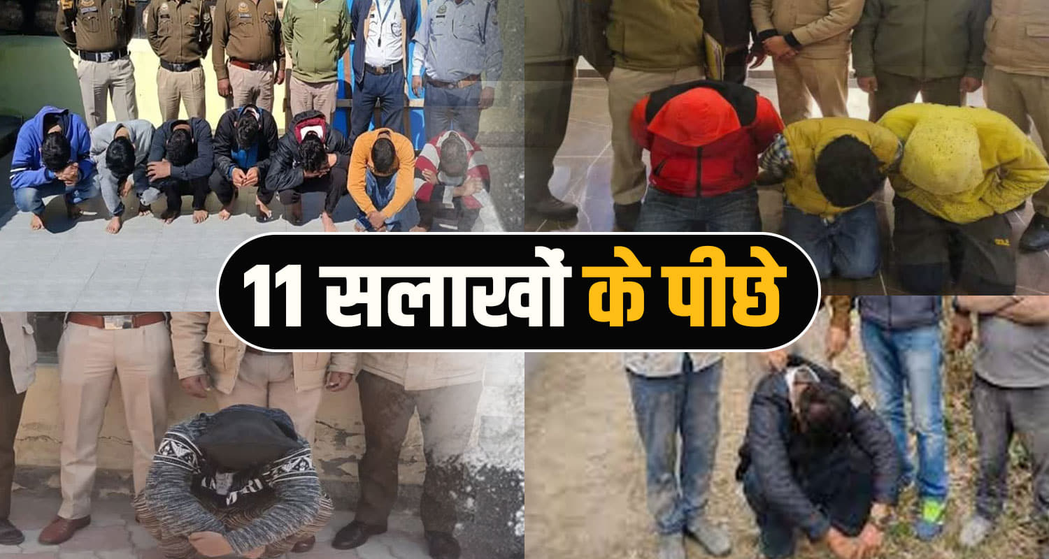 himachal drug arrested