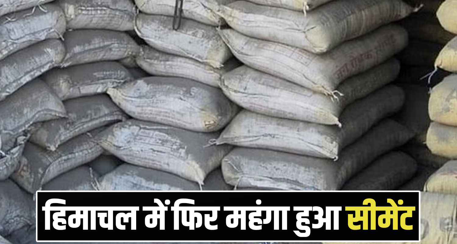 ACC Gold Cement Price