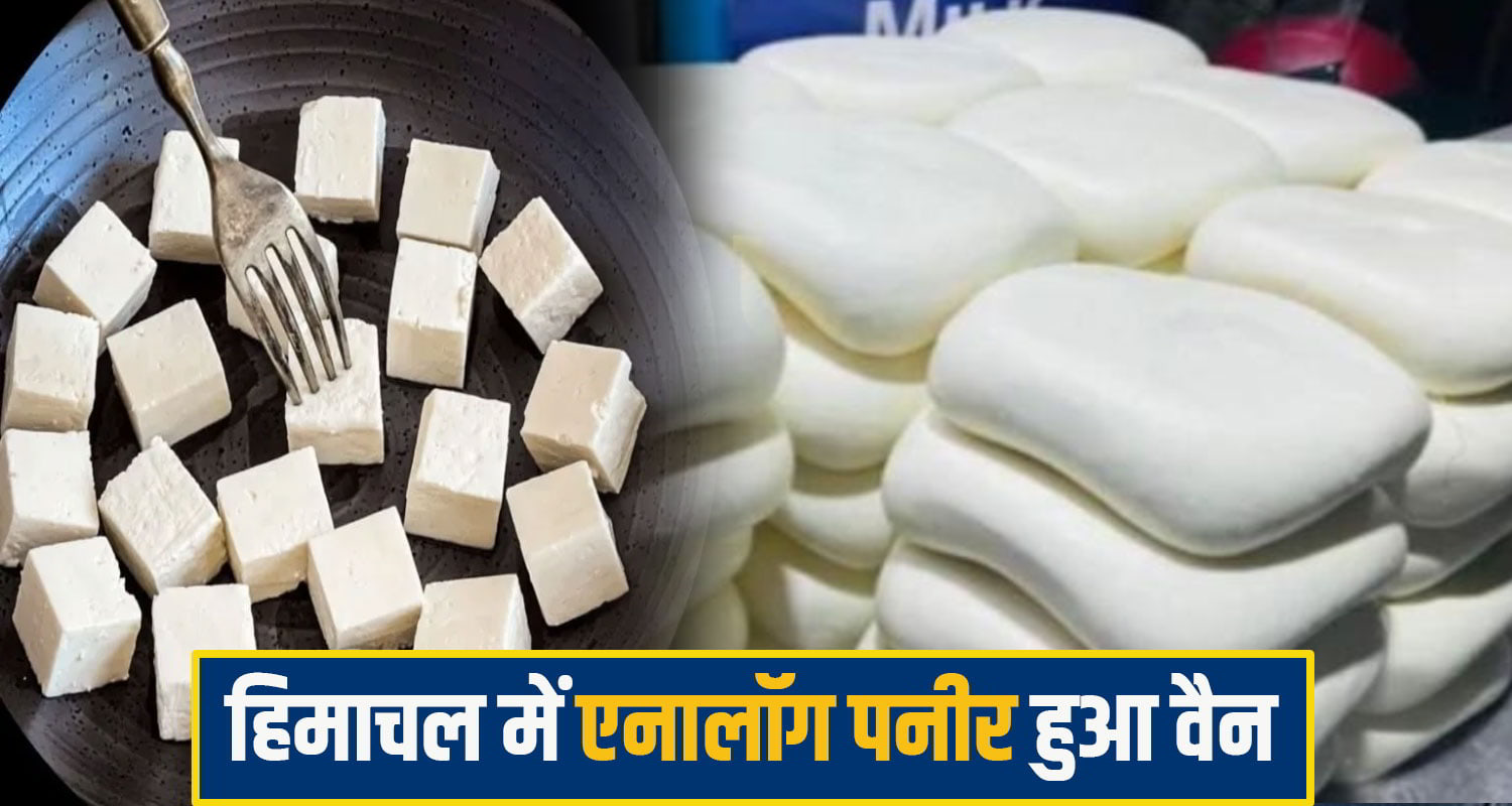 aanlog paneer himachal