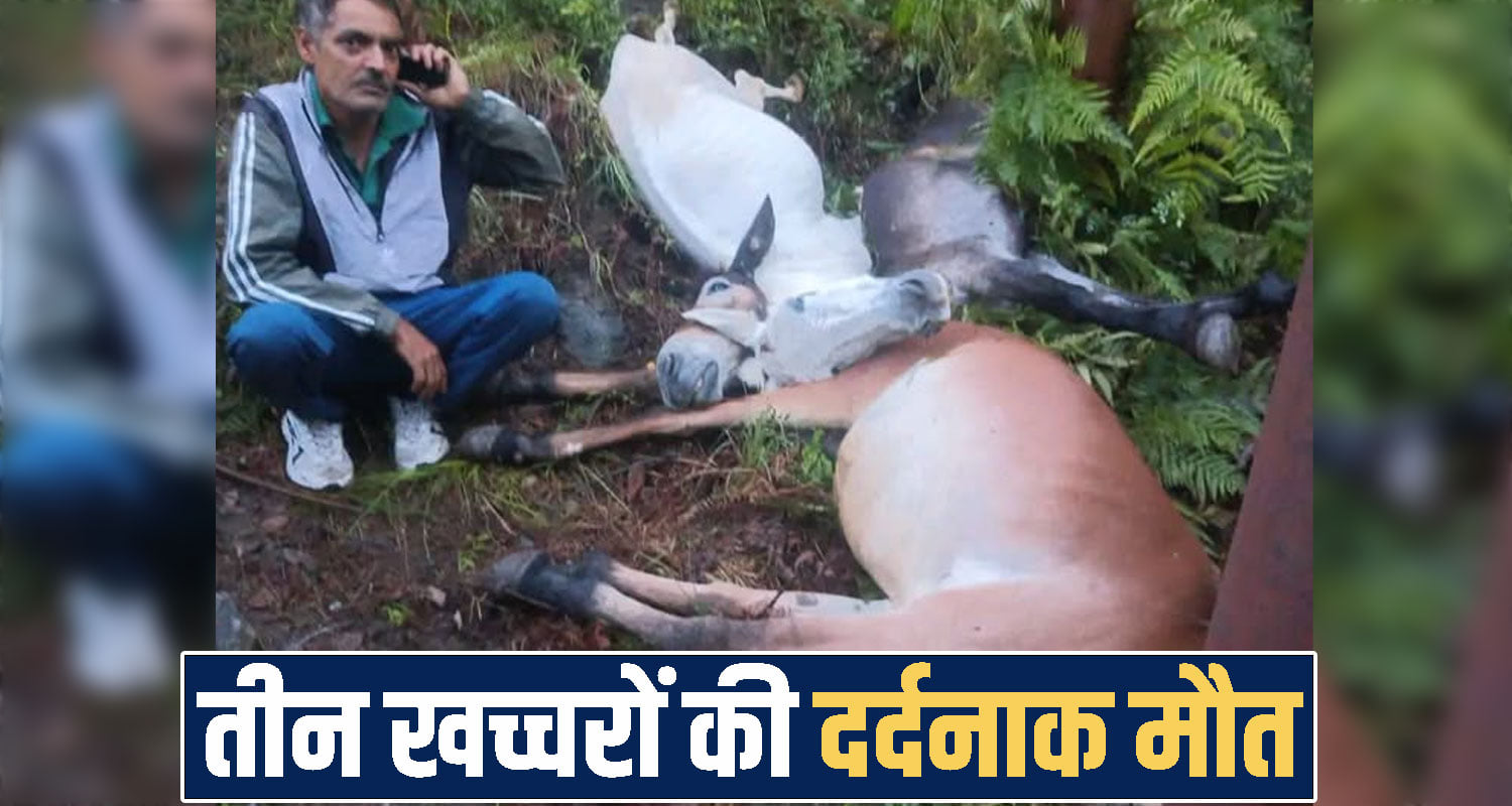 Himachal Pradesh News