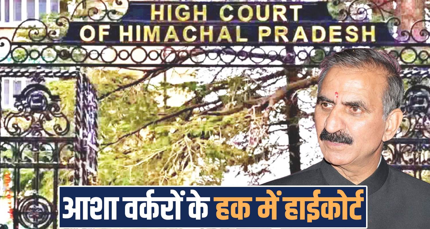hc stays ban asha workers contesting elections panchayats himachal government