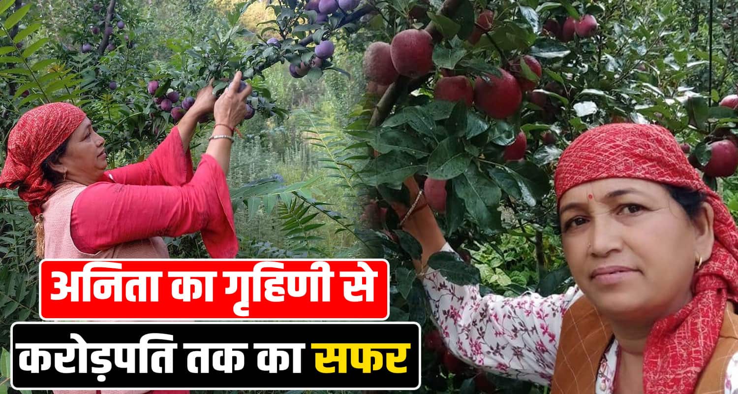 Apple Natural Farming