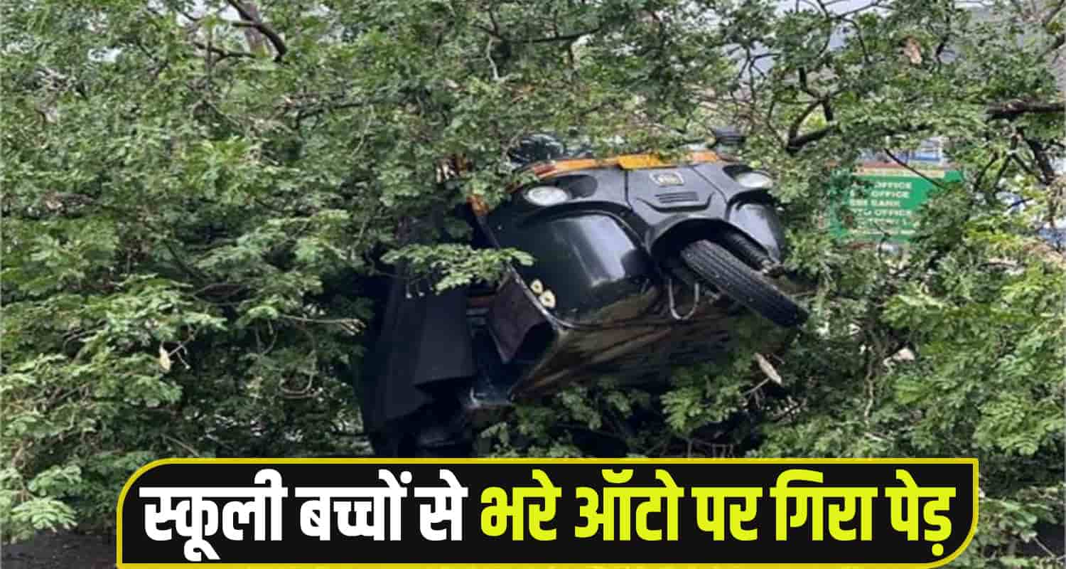 Bilaspur Auto tree