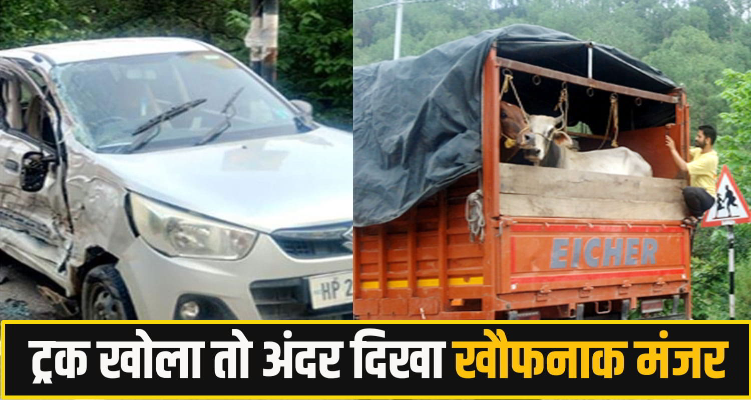 Himachal Pradesh Cow Smuggling
