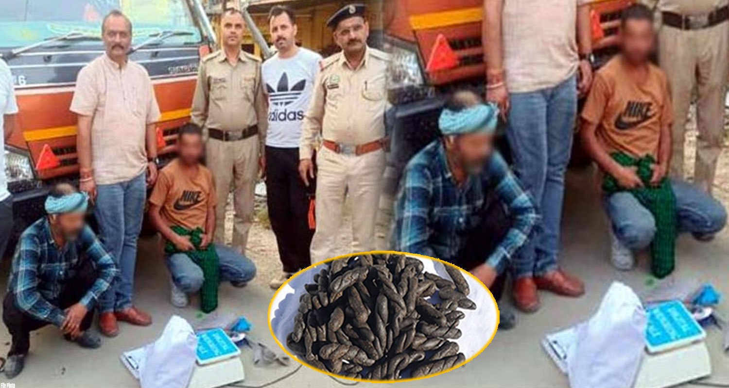 4 kilogram two charas smugglers bolero seized himachal police bilaspur