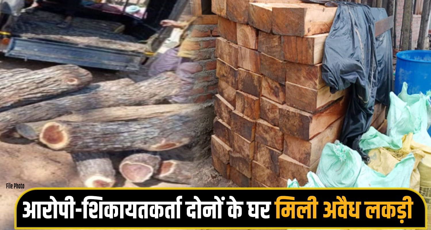 Illegal Timber Seizure