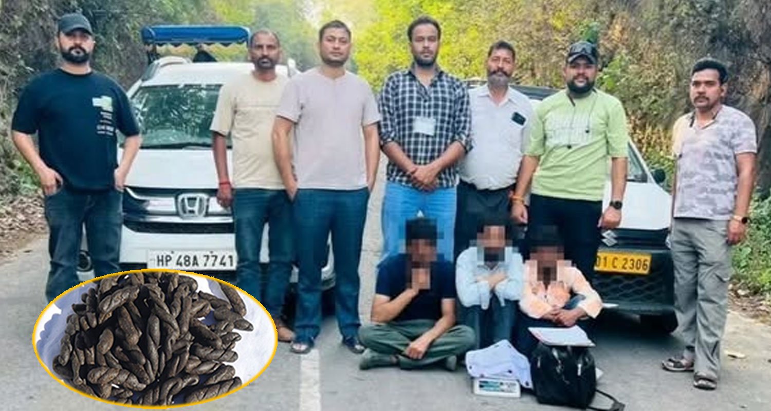 THREE DRUGS SMUGGLERS CHURAH MEN MORE THAN ONE KG CHARAS NURPUR POLICE HIMACHAL