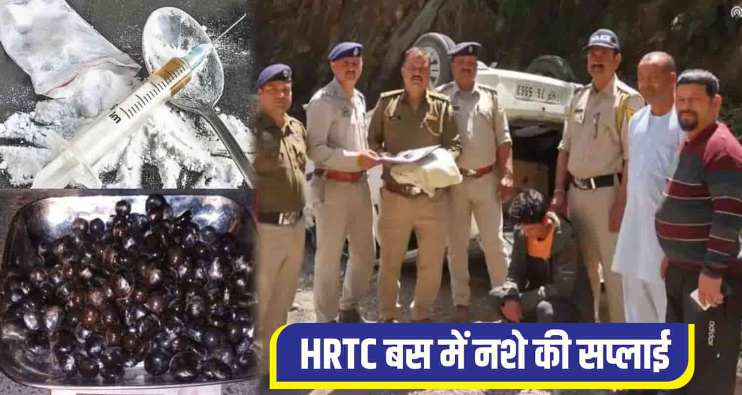 Charas chitta News Mandi 