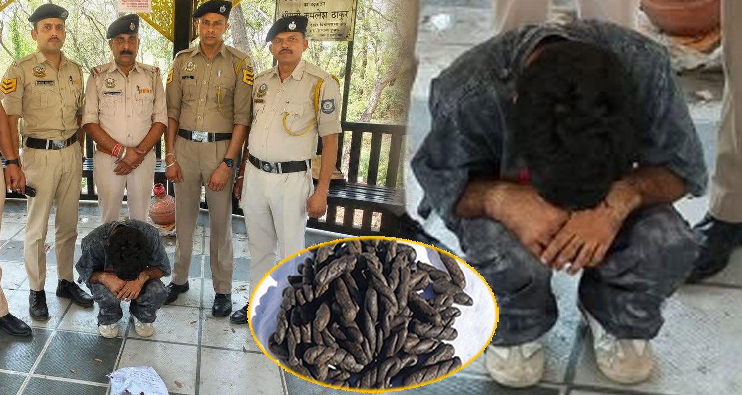 charas smuggler dehra police himachal kangra drug free
