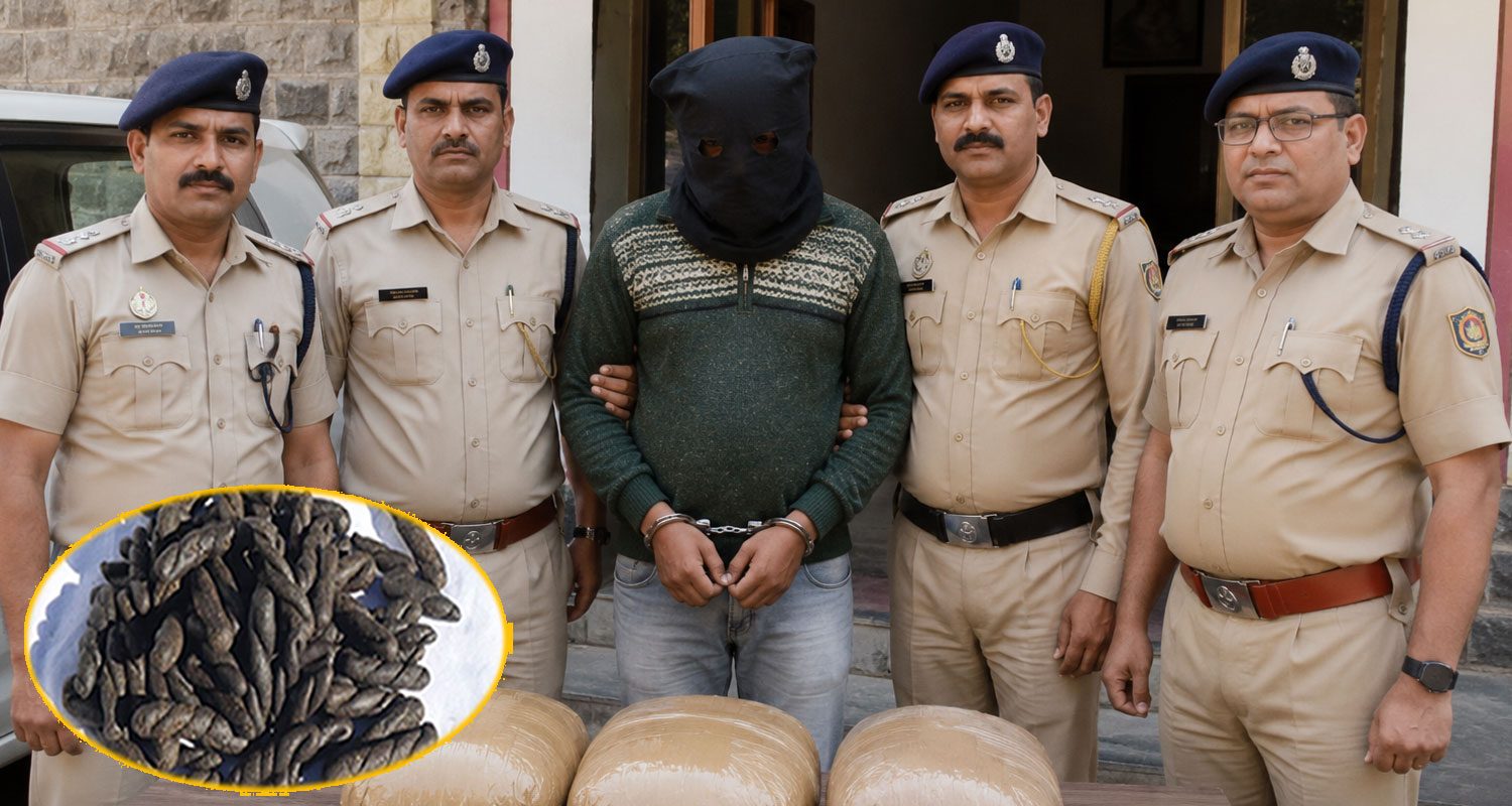 Charas Smuggling NDPS Act Kullu Court Banjar Himachal Police